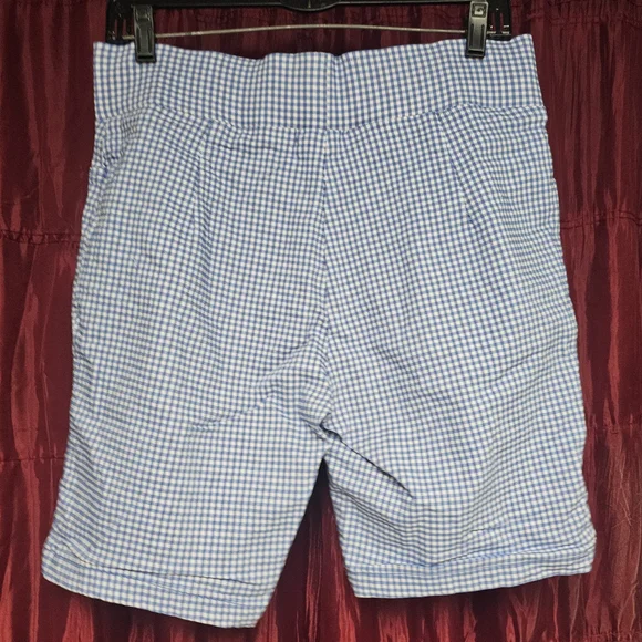 Tommy Hilfiger Blue Gingham Checkered Shorts - Picture 2 of 4